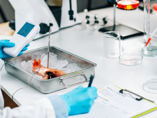 Heavy Metals in Seafood