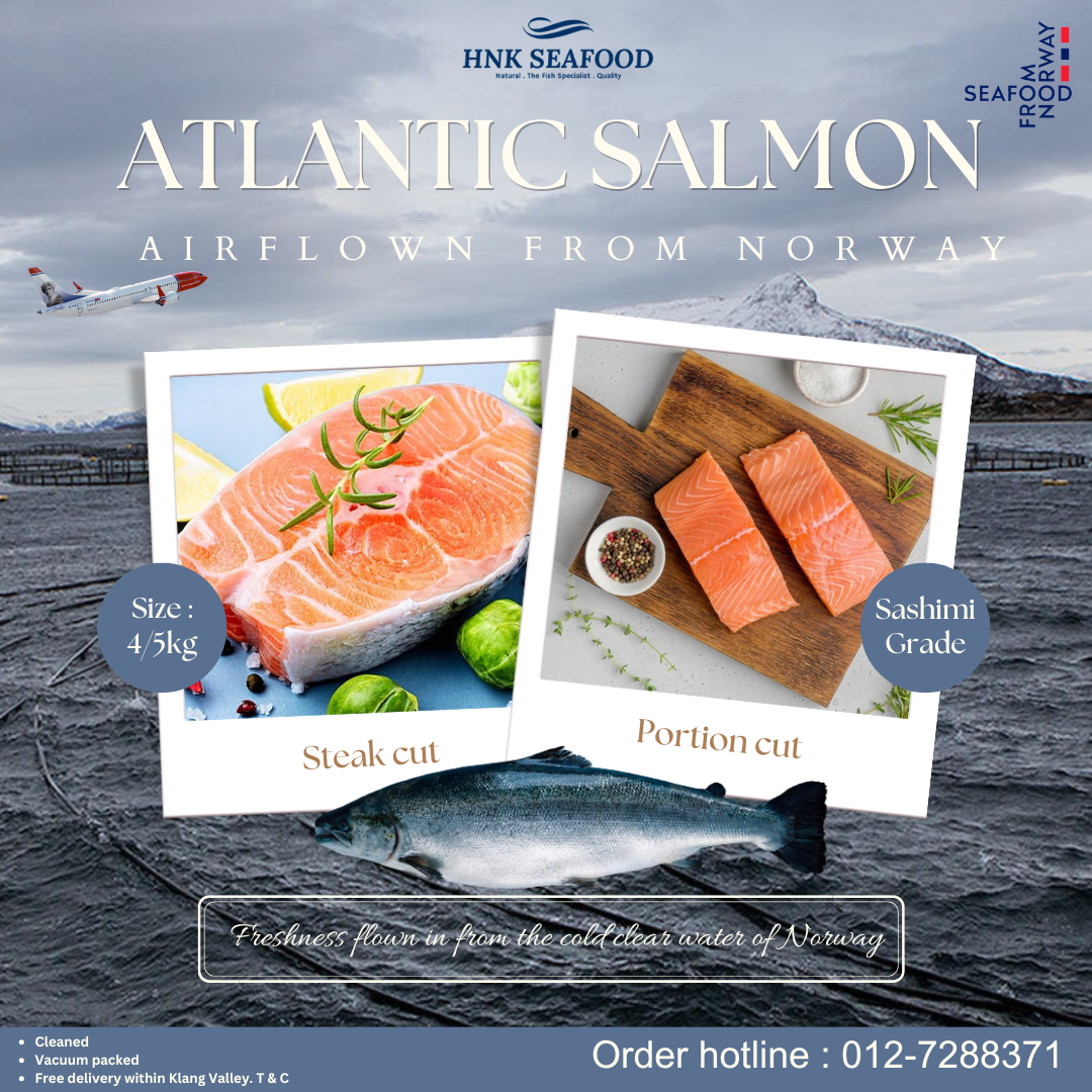 Fresh Air flown Atlantic Salmon  空运挪威三文鱼
