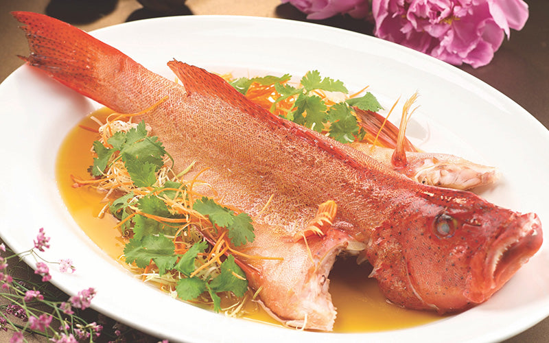 Coral Trout /  七星斑