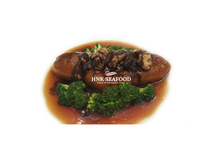 Sea Cucumber