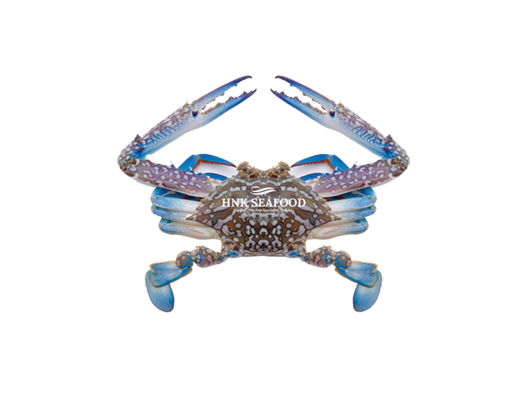 Flower Crab