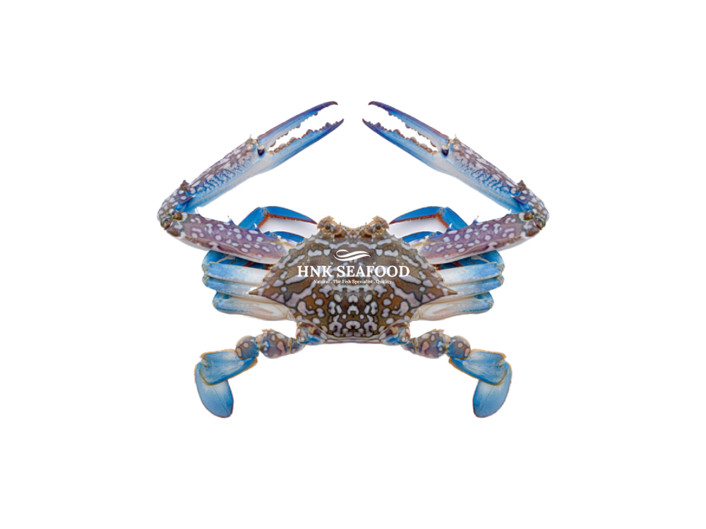 Flower Crab