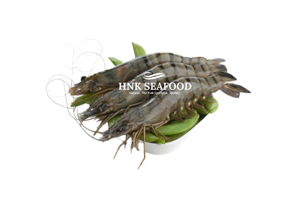 Black tiger prawn 老虎虾