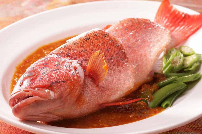 Coral Trout /  七星斑