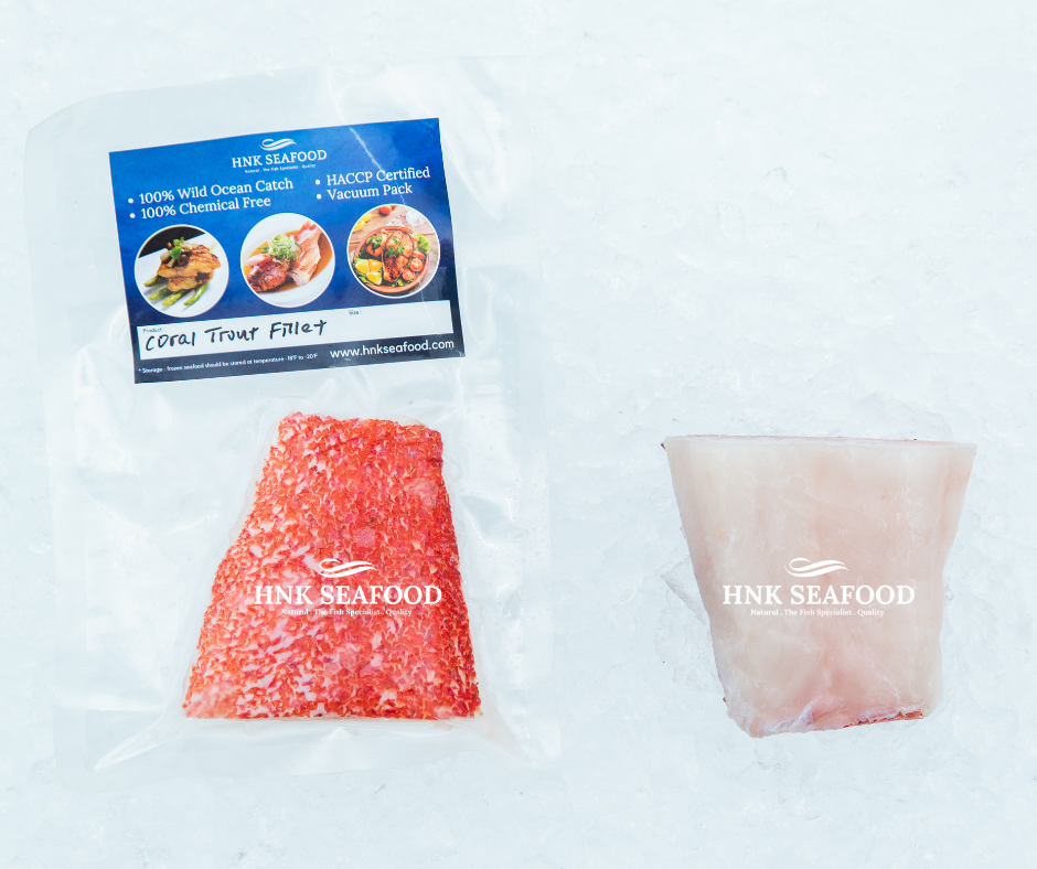 Coral trout fillet 星斑片